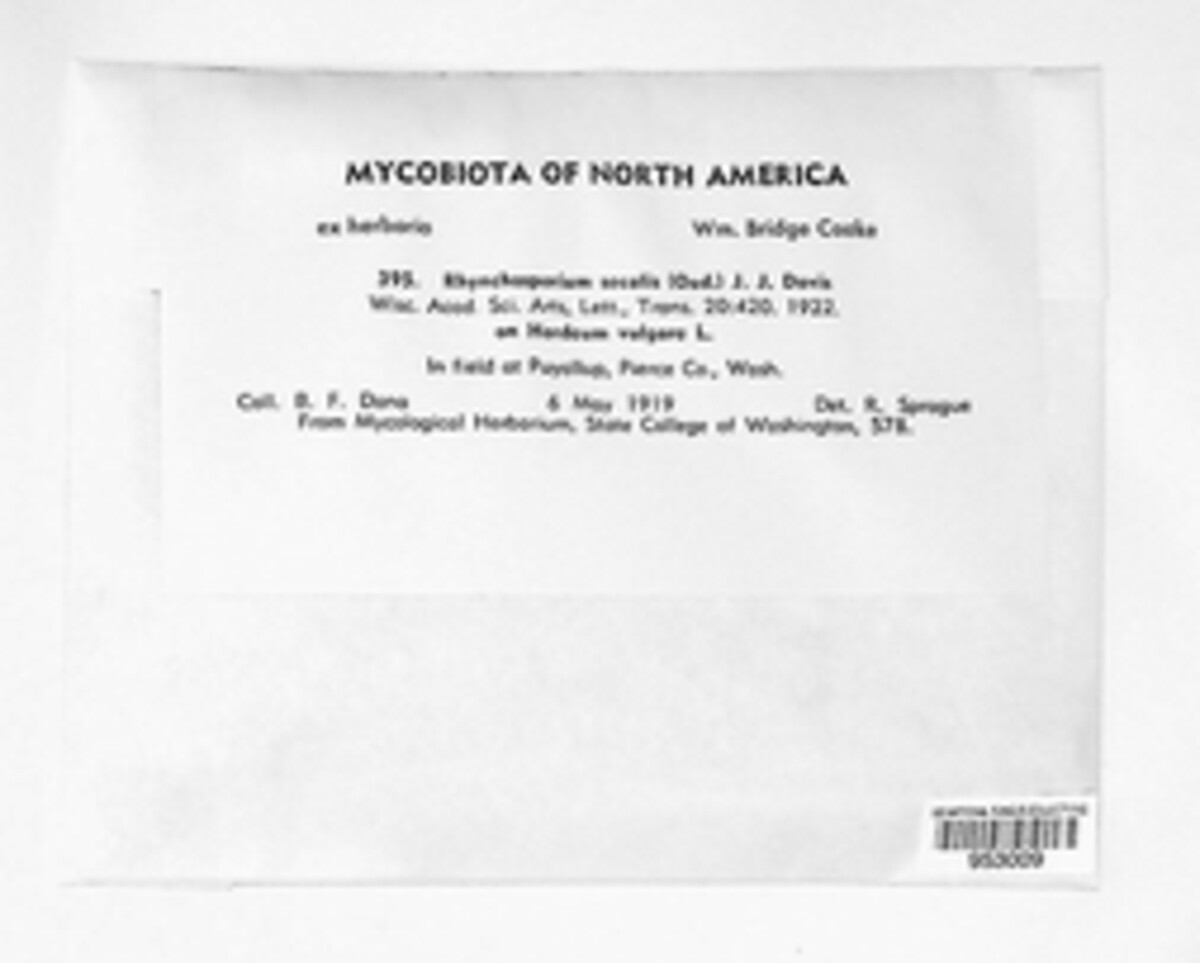 Rhynchosporium secalis image